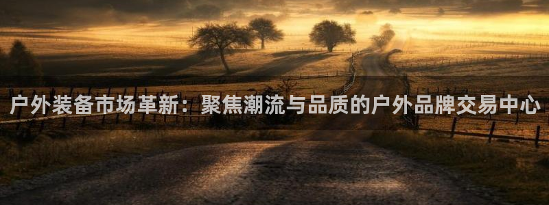 新宝gg返点1956是多少
