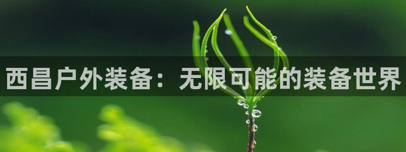 新宝一gg测速