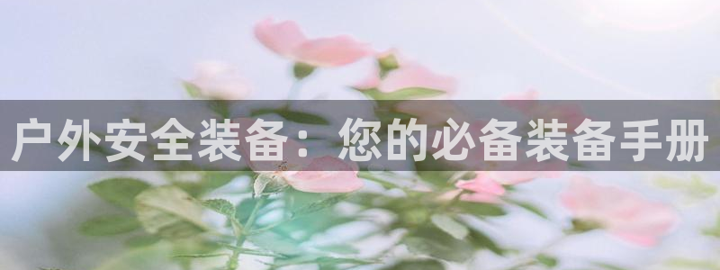 新宝gg平台反水