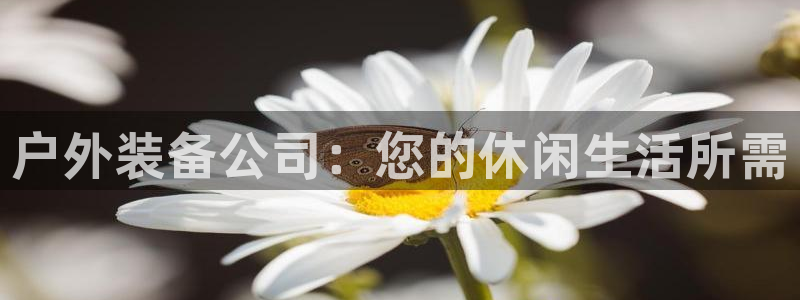新宝gg是在境外吗
