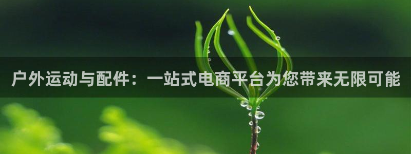 新宝gg返点