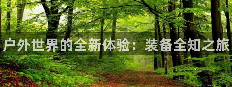 正版新宝gg