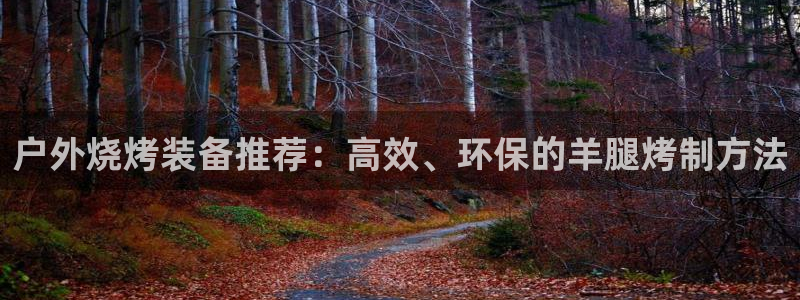 新宝gg老板