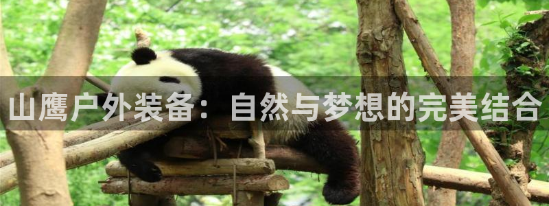 新宝gg好吗