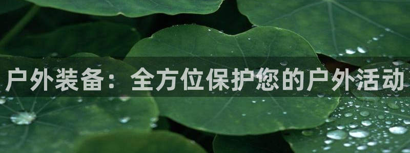 新宝gg创造奇迹登陆