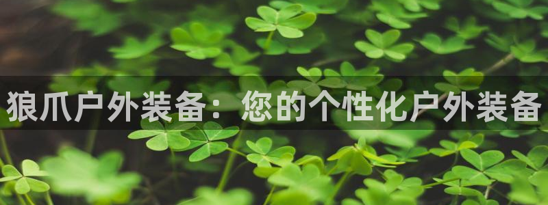 新宝gg招商致胜团队