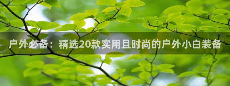 新宝gg登