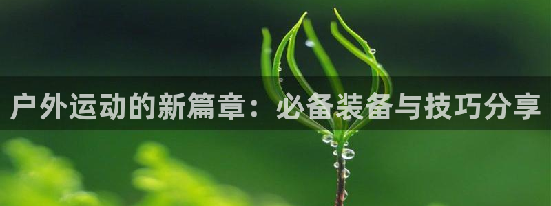 新宝gg娱乐-上鼎狐网