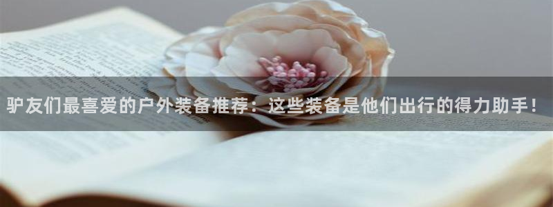 新宝gg手机登录官网