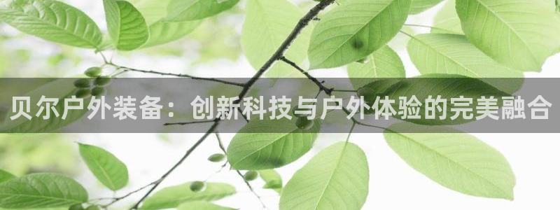 新宝哈哈gg