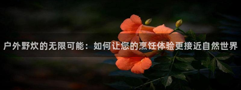 新宝gg登录地址